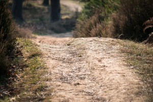 away-1230142_1920