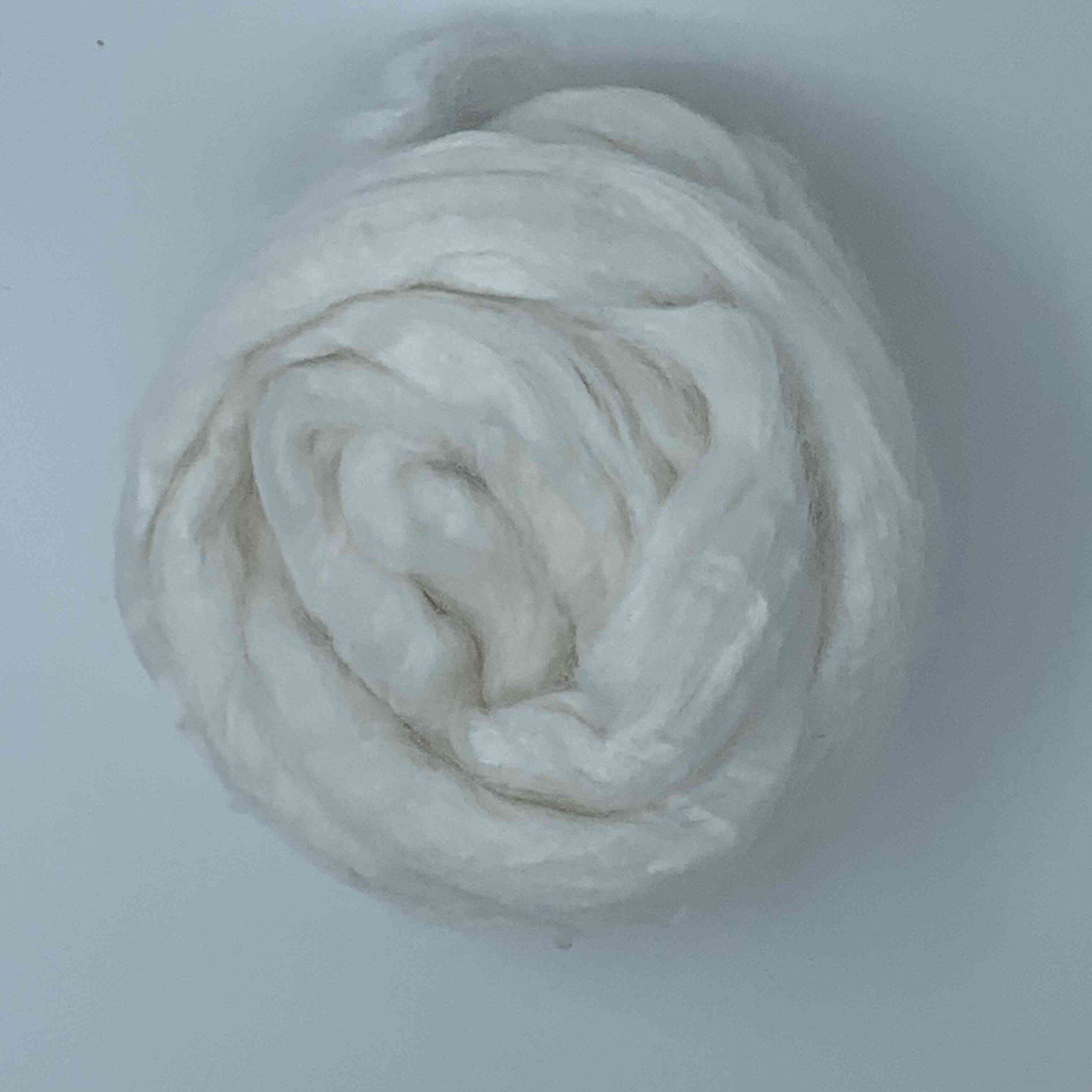 Bamboe / bamboelont 50 gram