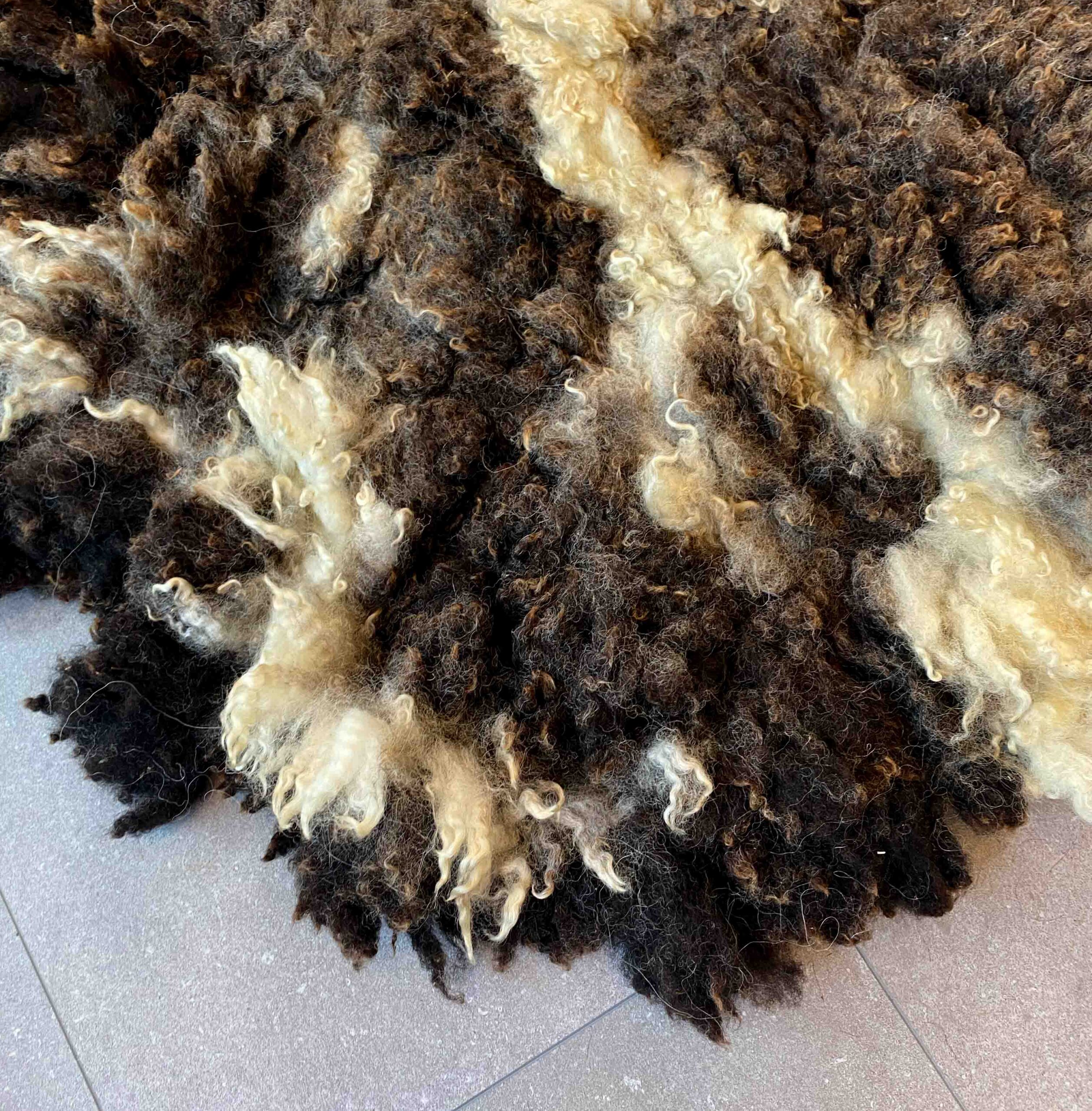 Bruno-organic-xxl-c