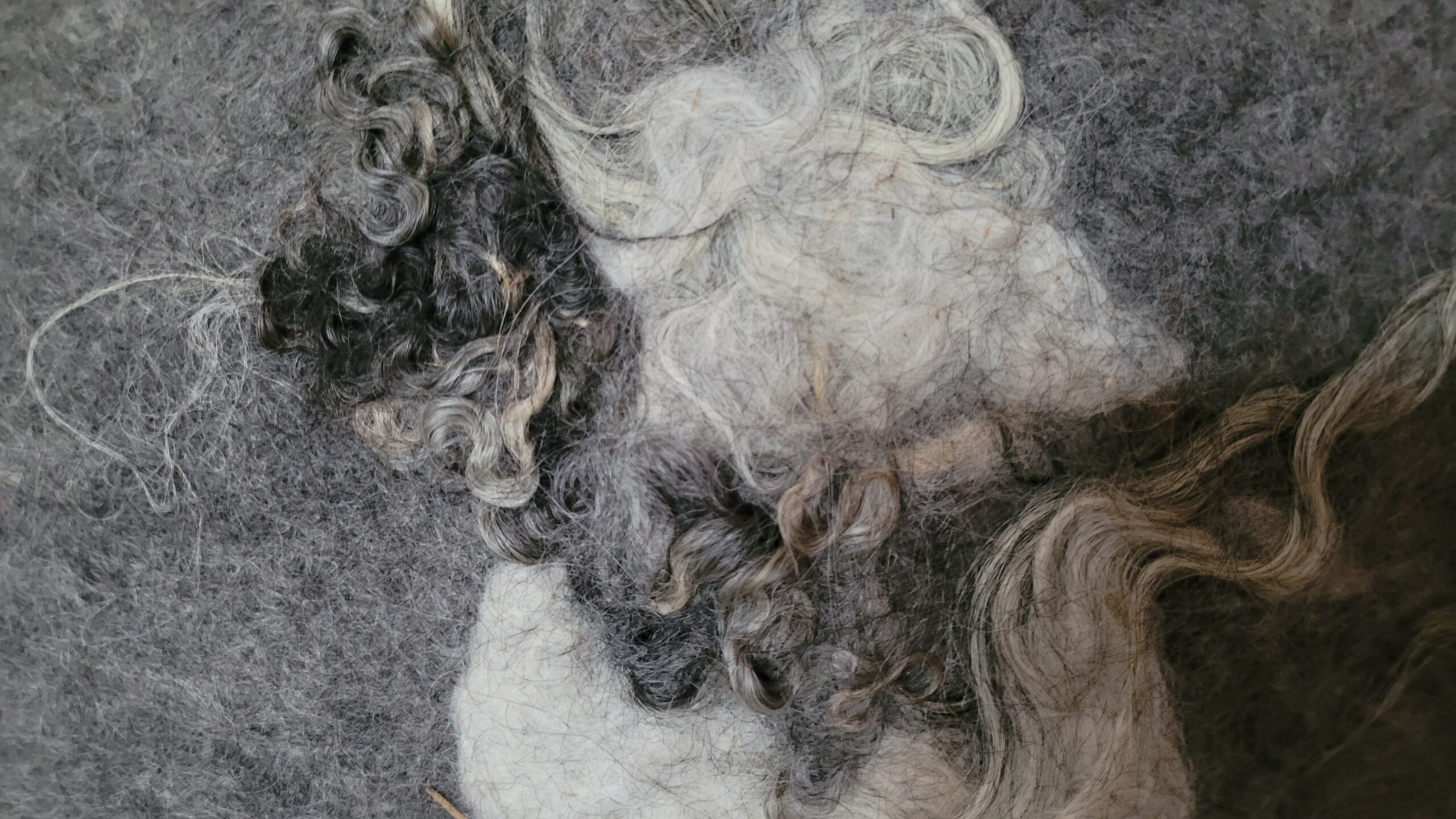 Hibernation wool art piece felted wool acoustic panel_Arte Cascada (1)