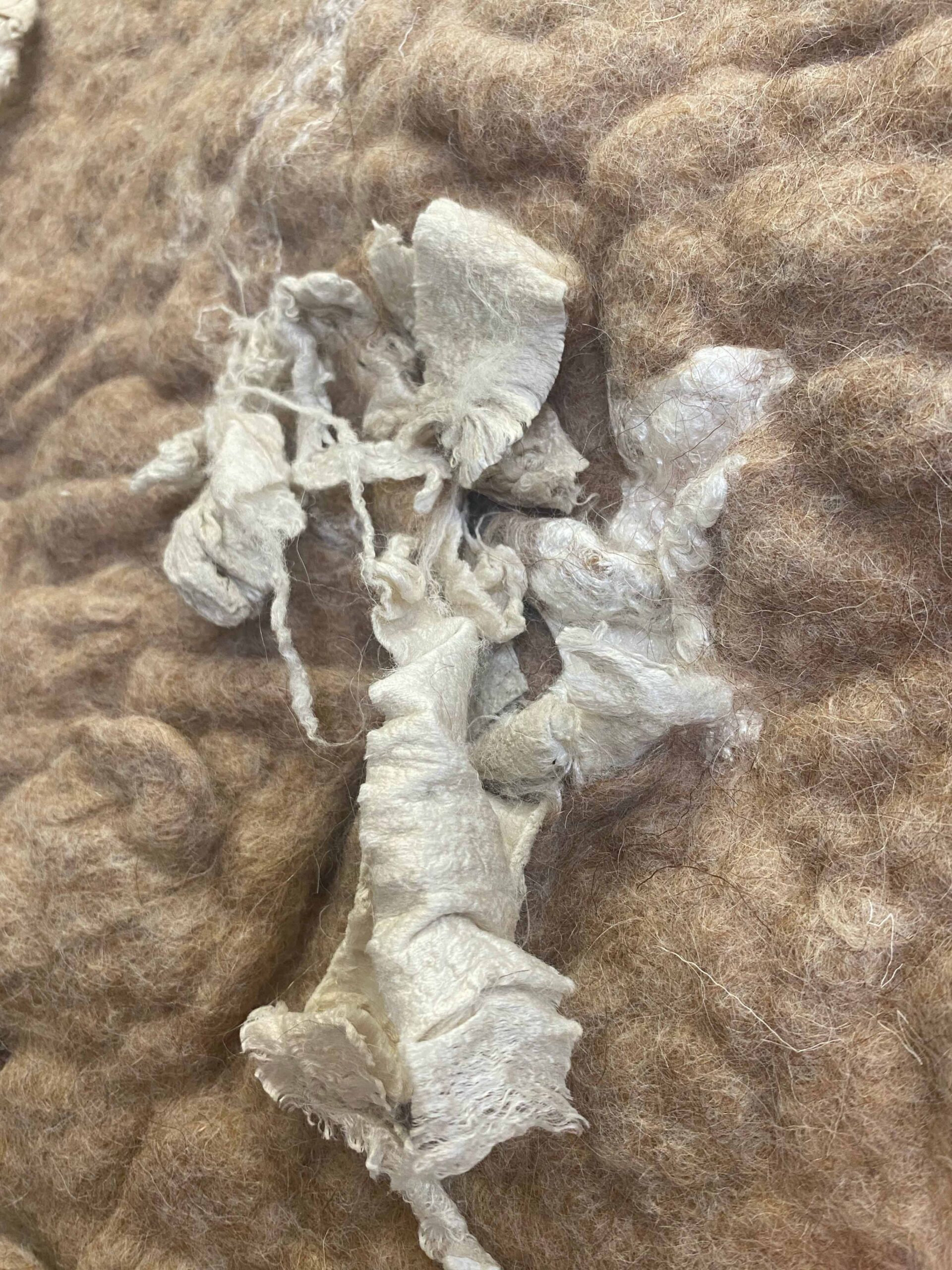Raw-c