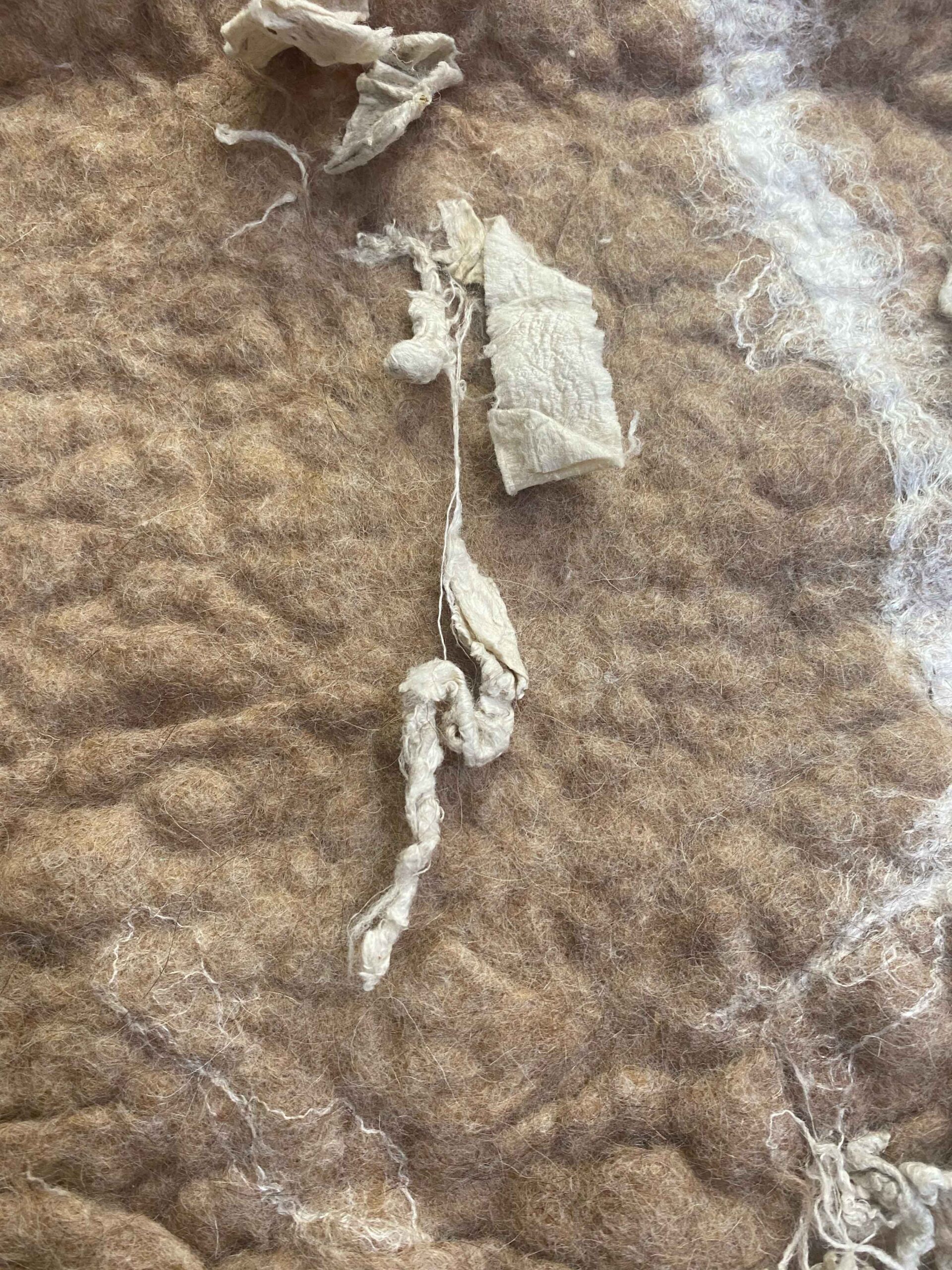 Raw-d