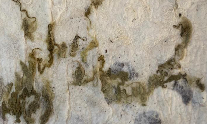 Wandkleed primavera b