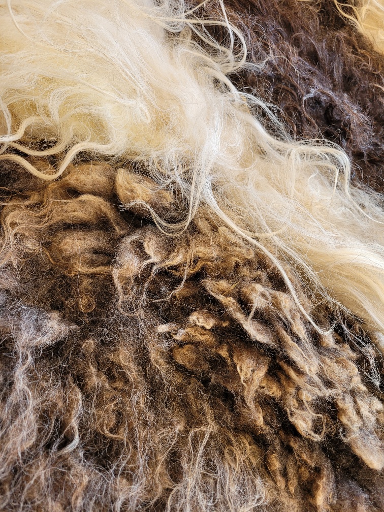 Wool carpet art carpet wool rug felted carpet_Crossing borders_Arte Cascada (6)