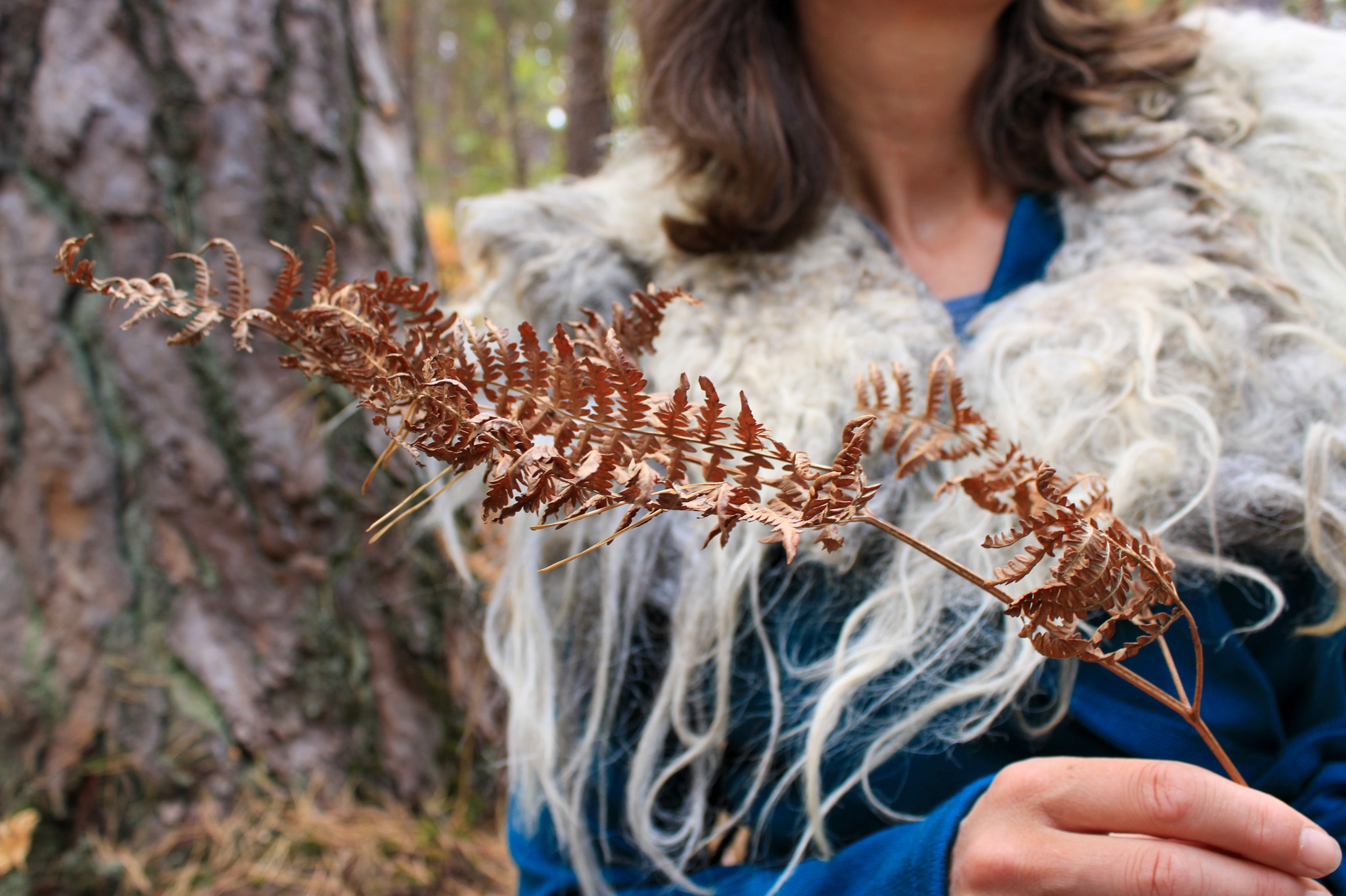 kraag wol wolgoeroe arte wolvilt kunst fotoshoot bos natuur 2