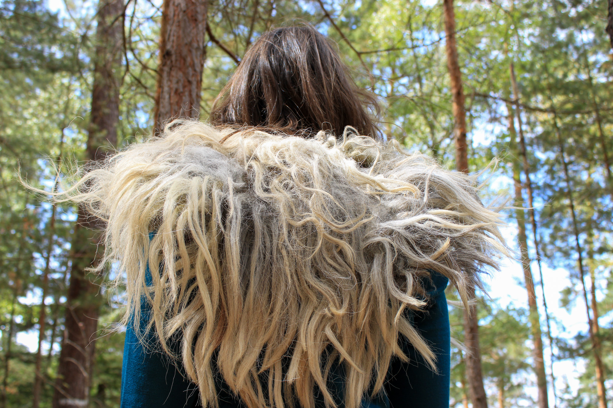 kraag wol wolgoeroe arte wolvilt kunst fotoshoot bos natuur 4
