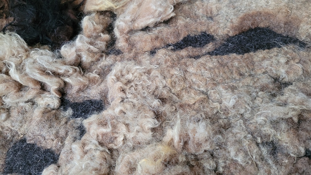 woollen-rug-felted-rug-wool-felt-Dutch-wool_Deep-Dive_Arte-Cascada-1