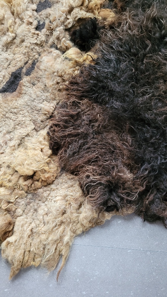 woollen-rug-felted-rug-wool-felt-Dutch-wool_Deep-Dive_Arte-Cascada-10
