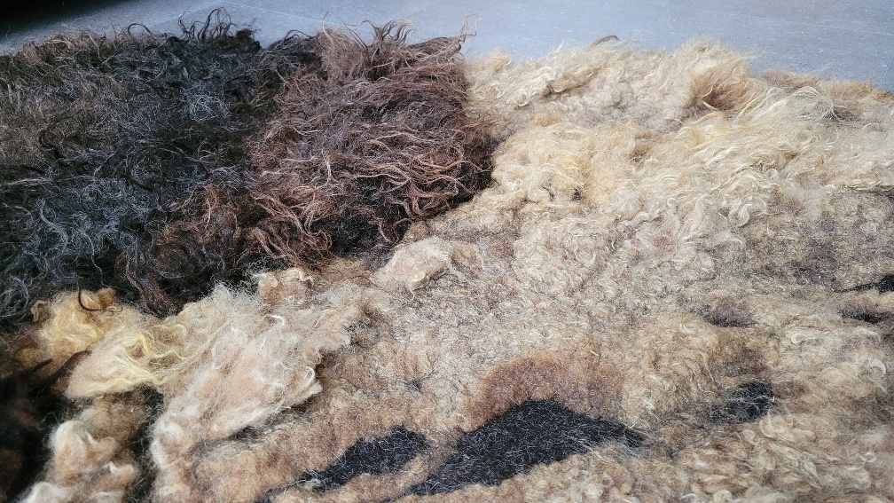 woollen-rug-felted-rug-wool-felt-Dutch-wool_Deep-Dive_Arte-Cascada-11