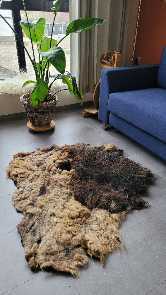 woollen-rug-felted-rug-wool-felt-Dutch-wool_Deep-Dive_Arte-Cascada-4