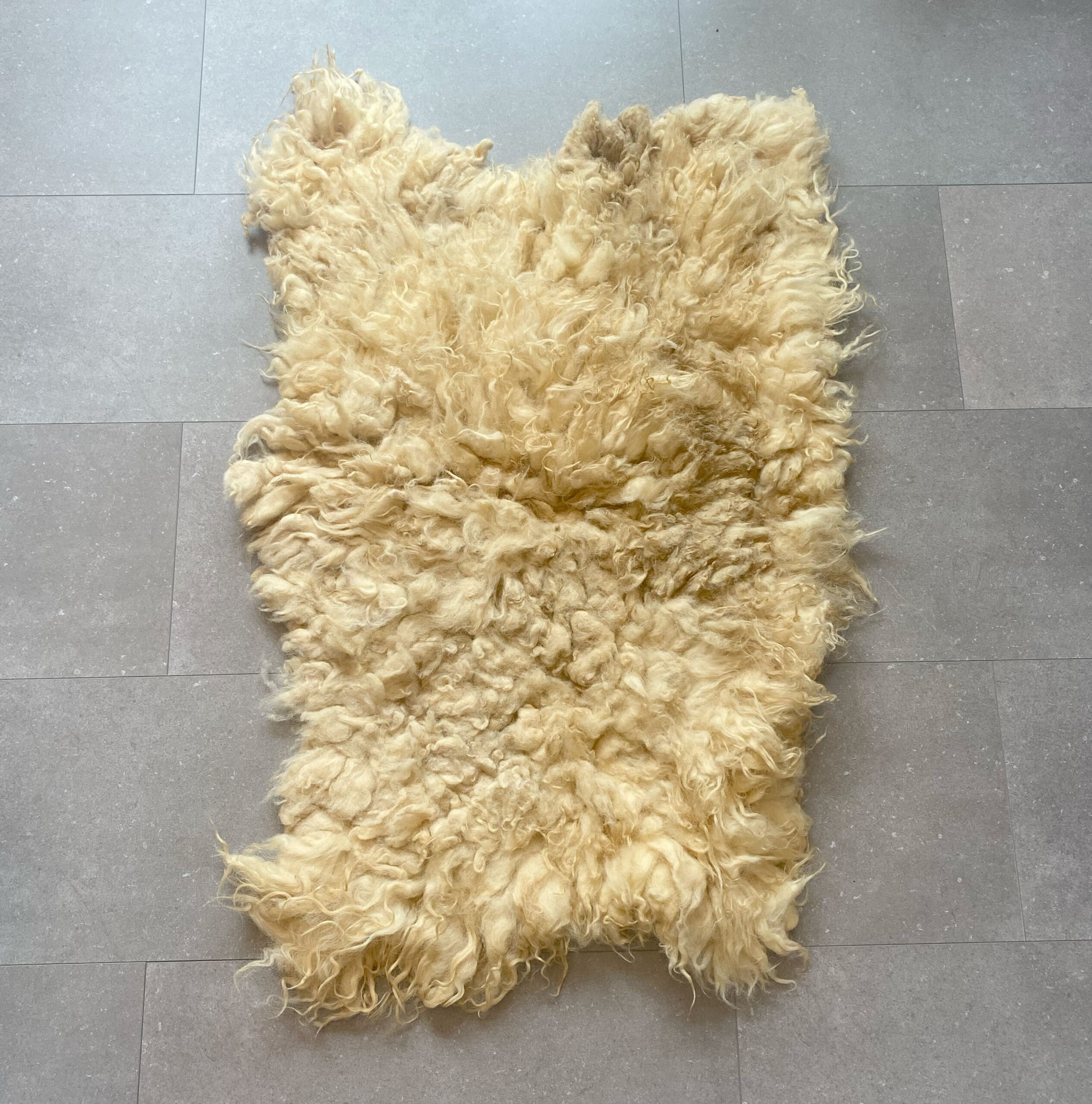 Alison-golden-fleece-2025.19-b