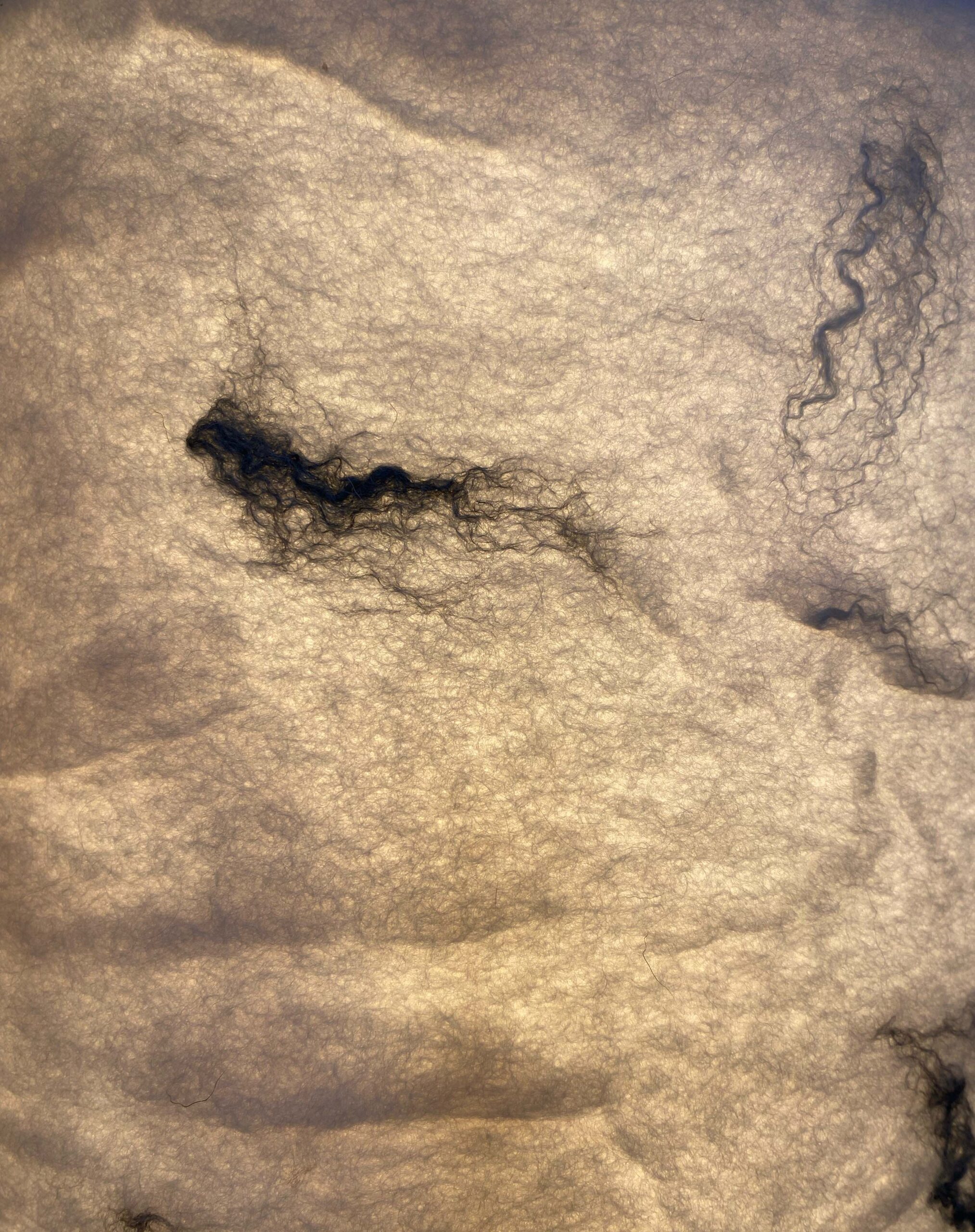 Lampenkap-2026.7-b
